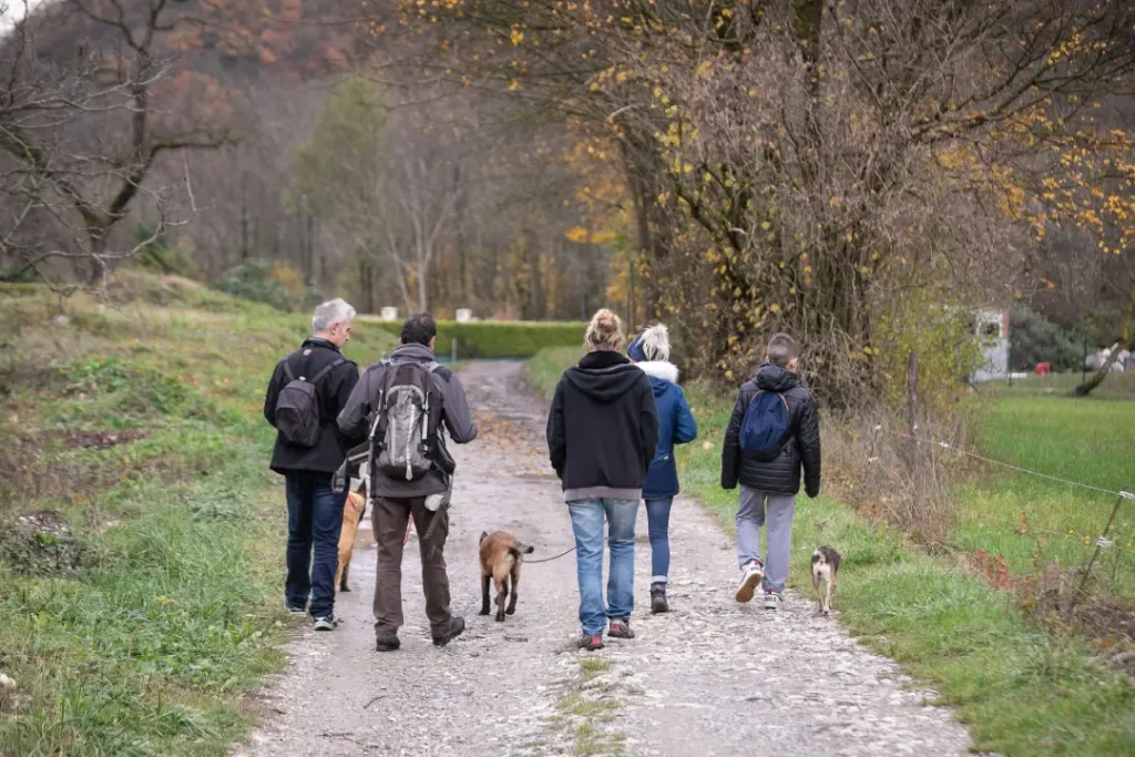 reeducation de chien à grenoble en forets