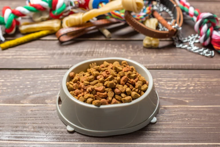 educateur canin à grenoble et spécialiste en nutrition